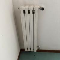 Termosifoni in ghisa