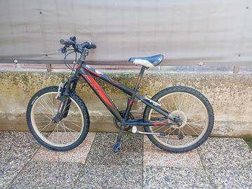 BICI RAGAZZO 20 POLLICI 