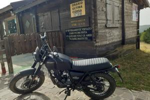 Brixton Felsberg 125 - 2022