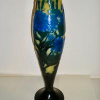 Cineraria- Vaso Galle