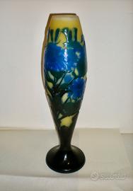 Cineraria- Vaso Galle