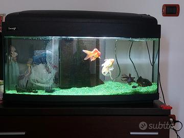 Acquario completo
