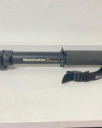 Monopiede Manfrotto 680B con testa 234RC