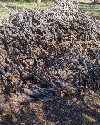 Legna da Ardere stagioniata (olivo)