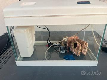 Acquario 50 litri