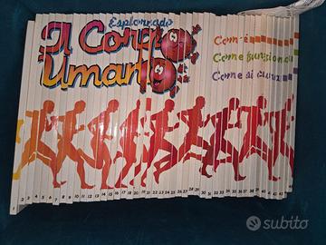 Esplorando il Corpo Umano 1-45
