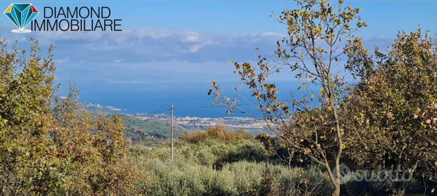 Terreno 3000mq panoramico a Piedimonte Etneo