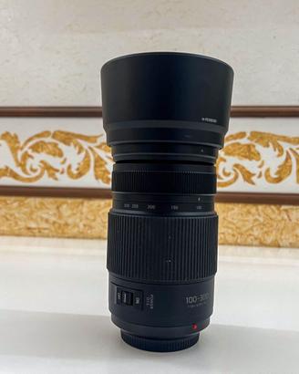 Panasonic Lumix 100-300mm f/4-5.6 II Power O.I.S.