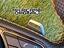 Immagine 11