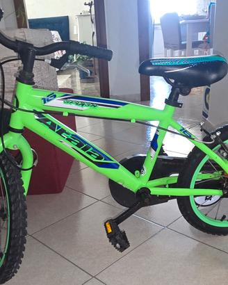 Bicicletta