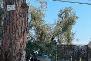 Yamaha Fzs 600 Fazer
