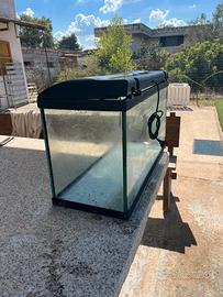 Acquario