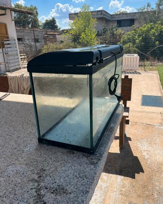 Acquario