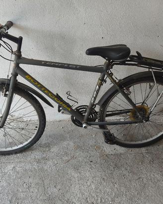 BICI BOTTECCHIA TEMPEST 8833