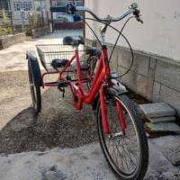 Bici tre ruote adulti