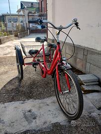 Bici tre ruote adulti