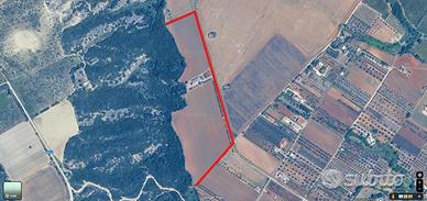 Bernalda - Azienda Agricola Con Villa e Locali