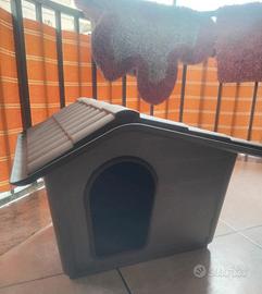 cuccia cane piccola taglia