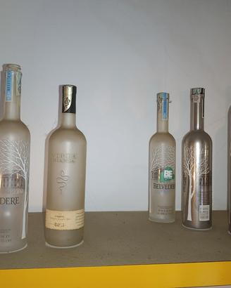 lotto bottiglie belvedere 