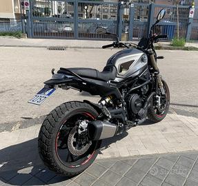 Benelli Leoncino 800