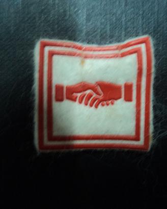 distintivo scout agesci vintage