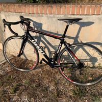 GIANT Bici Carbonio