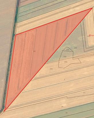 Terreno agricolo di 3 ettari pianeggiante