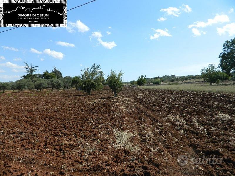 TERRENO FRONTE STRADA 5000mq in VALLE D'ITRIA - Vista 2