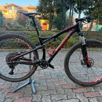 Specialized epic sworks carbon 29 tg media