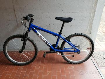Mountain bike