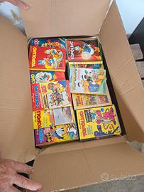 topolino