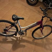 Vendi bici femminile