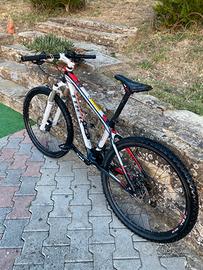 bici trek in carbonio