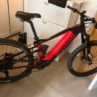 Ebike