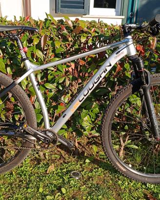 MTB Lee Cougan