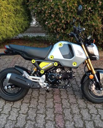 Honda MSX 125 GROM