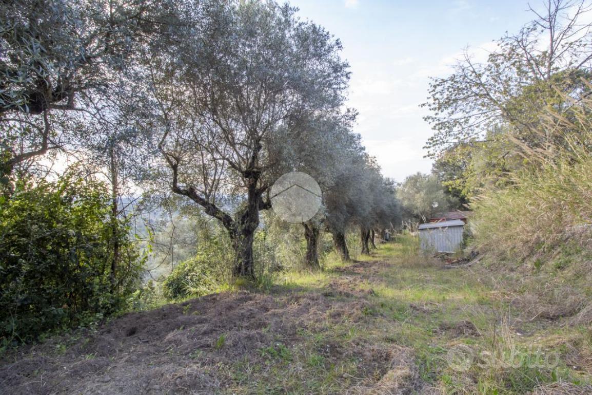 TER. AGRICOLO A PALOMBARA SABINA - Vista 4