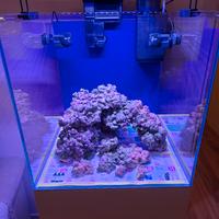 Acquario marino completo 