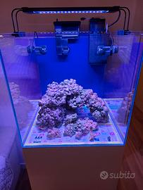 Acquario marino completo 