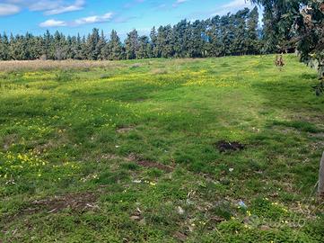 Terreno agricolo vicino Acquedolci