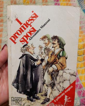 libro dei promessi sposi 