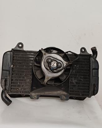 Radiatore Yamaha FZ 750 