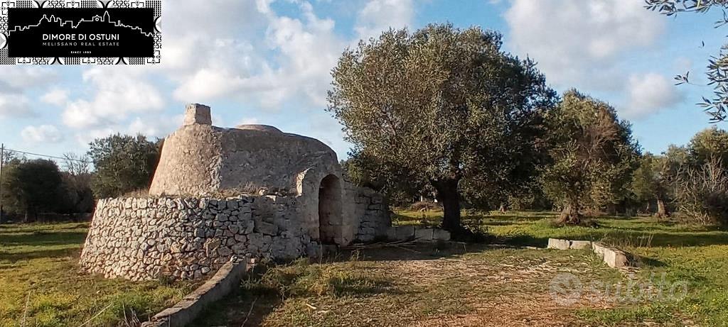 LAMIA DELL' ULIVO con TERRENO 7000mq - OSTUNI - Vista 3