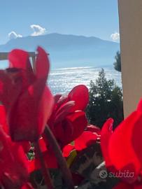 TORRE ANNUNZIATA PANORAMICO CENTRO, ' zona nord