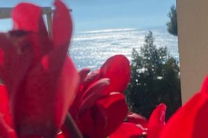 TORRE ANNUNZIATA PANORAMICO CENTRO, ' zona nord