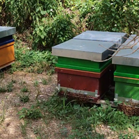 Arnie complete di Melario, nutritore escludiregina