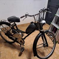 Bianchi Mosquito