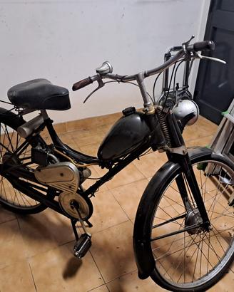 Bianchi Mosquito
