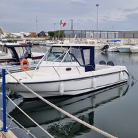 Boston Whaler outrage 290