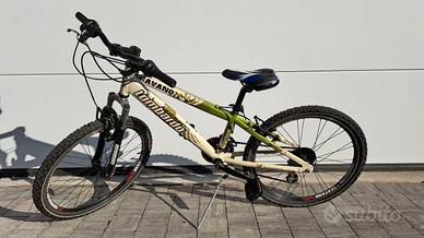 Bici Lombardo Shavano 24